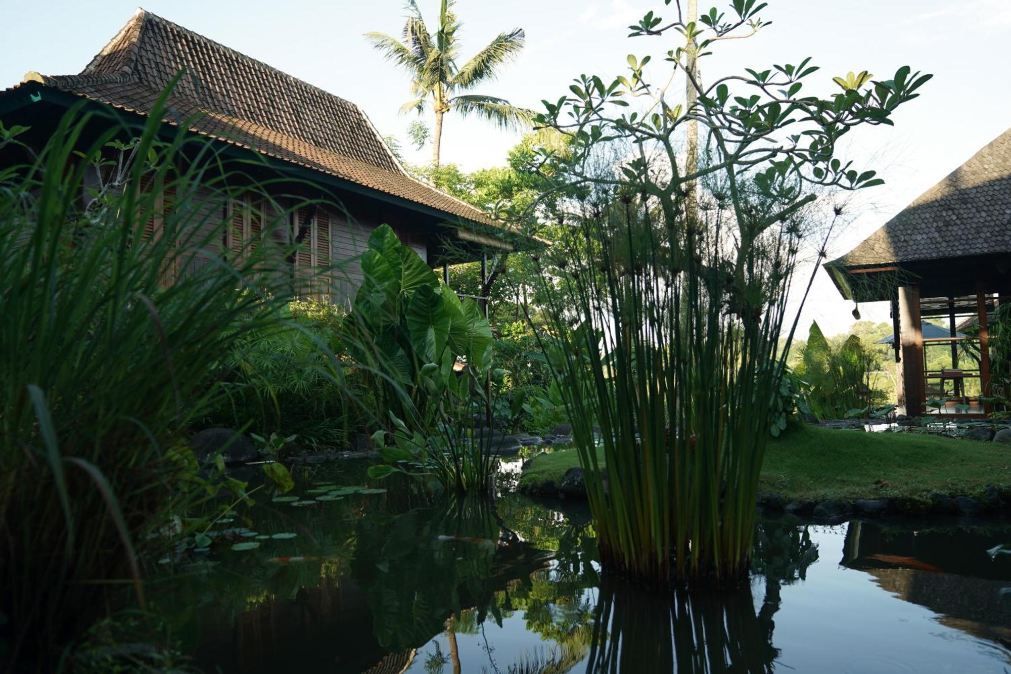 Amaru * Ubud